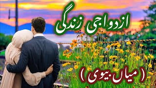 Khushgawar Azdawaji Zindagi | Aqwal e Zareen in urdu | Aqwal e Zareen | hindi quotes