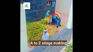 A to Z silage making in short video