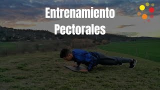 🔴 Entrenamiento por intervalos 2️⃣ Versión PECTORALES - Entrenador Wellness