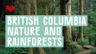 Finding inspiration in the rainforests of British Columbia, Canada | Explore Canada