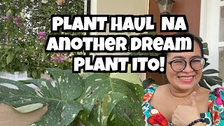 ANG MURA NG THAICONS NA NABILI KO: PLANT HAUL 2022