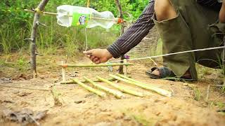 Chicken Trap Using Plastic Bottle & Wood