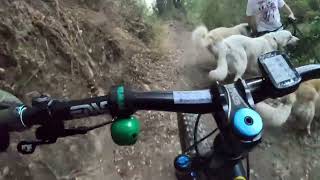 Single speed on Fern Tr and El Prieto (full video) raw