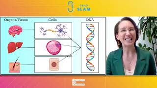 Quantifying DNA methylation pseudotime to rewrite a cell’s fate