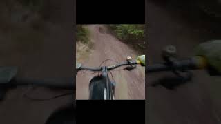 Snakes and Adders - Cannock Chase Mountain Bike trails