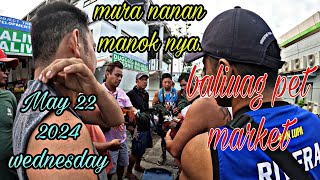 mura naman manok nya, may 22 2024 wednesday baliuag pet market.