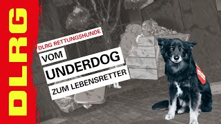 DLRG | Vom Underdog zum Lebensretter