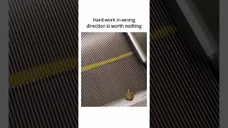 Wrong direction #frog #shorts #hardwork #shortoftheday #ytshorts