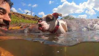 Cachoeira com cachorro - Gonçalves/MG