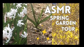 Outdoor ASMR Spring Garden Tour ☺️🌸🌱 First Flowers, Young Herbs + My First Time Growing Garlic!