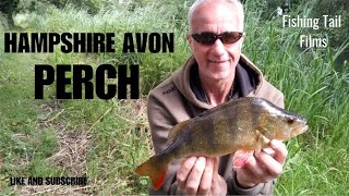 PERCH FISHING at Britford on the Hampshire Avon #perchfishing #riverfishing #perch #rivers