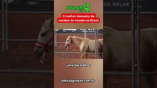 O melhor domador de cavalos do mundo no Brasil! #agro  #agriculture  #agropecuaria   #gado #cavalo