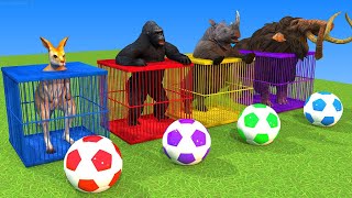 Elephant, Gorilla, Dinosaur, Kangaroo, Rhino, Tani the game who will throw the ball into the basket