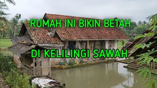 SUARA KATAK SEHABIS HUJAN DI KAMPUNG TENGAH SAWAH | TASIKMALAYA