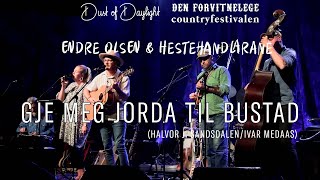 Endre Olsen og Hestehandlarane - Gje meg jorda til bustad (Den Forvitnelege Countryfestivalen)