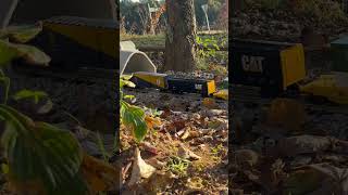 Massive CSX garden train #viral #shortsfeed #csx #csxstrains #railfans #railway #railroad #chessie