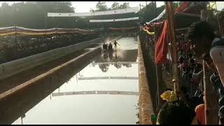 #kambala One of the Fastest Buffalo inthe kambala historyKarladamutthu mukesha ❤|ಕಾಲ೯ದಮುತ್ತು ಮುಕೇಶ ❤