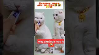 woy maak gantiang dong ,gak liat lidah aku ini dah ngiler Mak😁🤣😅😂🤩💝