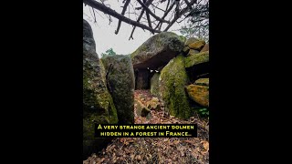 A very strange and ancient dolmen hidden in a forest in France…