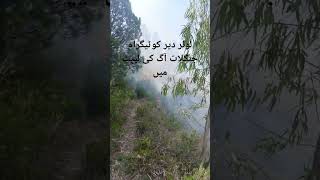 Lower Dir Kotigram Forest Fire #shortvideo #fire