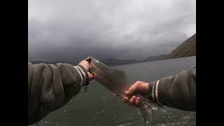 Pesca de truchas desde otra cámara 🎥😃🎣🐟