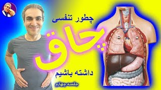 #پرده ی دیافراگم چیست،چاق شدن نفس ، تنفس #سگ ی،فریاد دیافراگمی و ترفند تنفس گیری با مهدی پهلوان 04