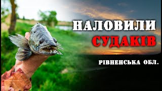 Нашли судака там... де його і не чекали!