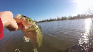 Fishing with a chatterbait