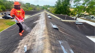 Untouched For 16 Years! Watch As We Finally Clean This Neglected Roof!