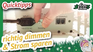 Strom sparen: richtig dimmen mit Hydroca LEDs #shorts