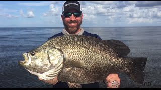 Near world record triple tail BREAKS landing net - Outdoors360