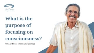 What is most important, our state of consciousness or our actions? | Q&A with Sat Shree