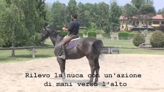 Francesco Vedani Equitazione - Lavoro sul salto ostacoli con cavallo pesante alla mano parte 1