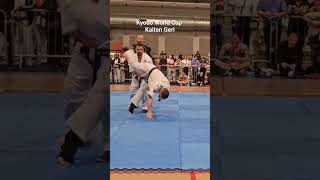 Kyodo World Cup Poland Kaiten Geri