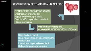 Sd de Uropatía obstructiva - clase 68 - sem 13