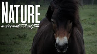 Nature | a cinematic short film