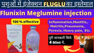 Injection FluGlu vet || Injection flunixin meglumine || Inj flunixin meglumine use in hindi