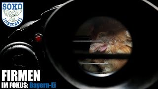 FIRMEN IM FOKUS: Bayern-Ei // SOKO Tierschutz e.V.