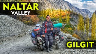 Naltar Valley Gilgit | Swat to Gilgit Baltistan/Khunjrab Pass Motorcycle Tour | Khunjeab Tour  Ep.2