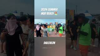 2024 Summer Mud Festa Daecheon Beach 🏖️ ☀️보령 머드 축제 2024 대천해수욕장