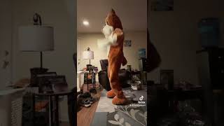 Dancing in a dog costume