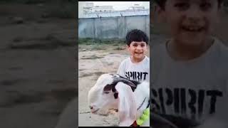 Reyyan, Maaz and Shameer with their #QurbaniKaJanwar #shorts #trending #viral #superkids #subscribe