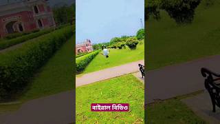 বান্দারামির একটা সিমা আছে  #comedy #বাংলাকমেডি #shortsviral#bhotbhot#kohinur#tiktok #tiktokvideo