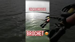 Une MAGANIFIQUE prise dans le LAC BLEU