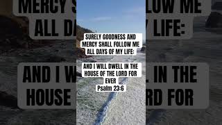 Shortsvideo ❤️🙌🏿 ⛪️🙌🏿 😇 ❤️Psalm 23:6 #shorts #bibleverse #biblequotes #biblestudy