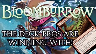 The Secrets of Drafting Blue/Red in Bloomburrow! | Limited Level-Ups #184