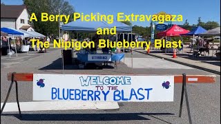 Berry Picking Extravaganza and the Nipigon Blueberry Blast 2022