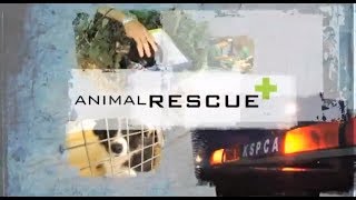 Animal Rescue - 12 part series - RTE1