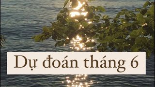 CHỌN MỘT TỤ BÀI: DỰ ĐOÁN THÁNG 6