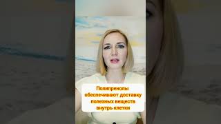 Железодефицитная анемия. Что делать?